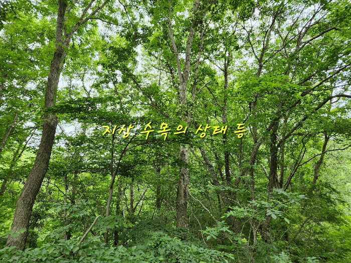 경남 남해군 남면 임야 경매 물건 사진 6 · 2025타경728