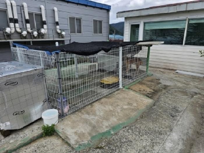 경남 진주시 대곡면 공장/지식산업센터 경매 물건 사진 5 · 2025타경731