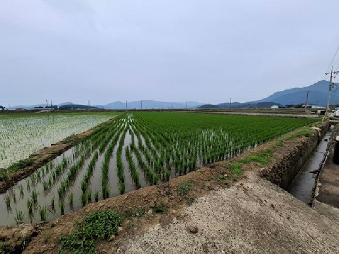 경남 남해군 이동면 전답 경매 물건 사진