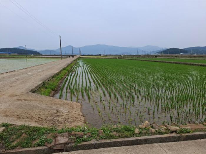 경남 남해군 이동면 전답 경매 물건 사진 2 · 2025타경737