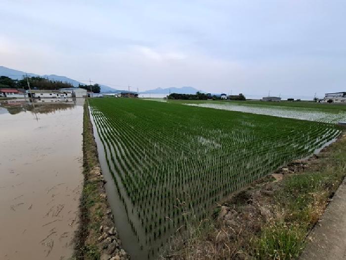 경남 남해군 이동면 전답 경매 물건 사진 3 · 2025타경737