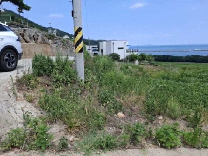 경남 남해군 삼동면 대지,임야,전답 경매 물건 사진 3 · 2025타경751
