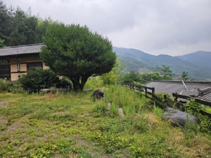 경남 하동군 청암면 교육연구시설 경매 물건 사진 2 · 2025타경755