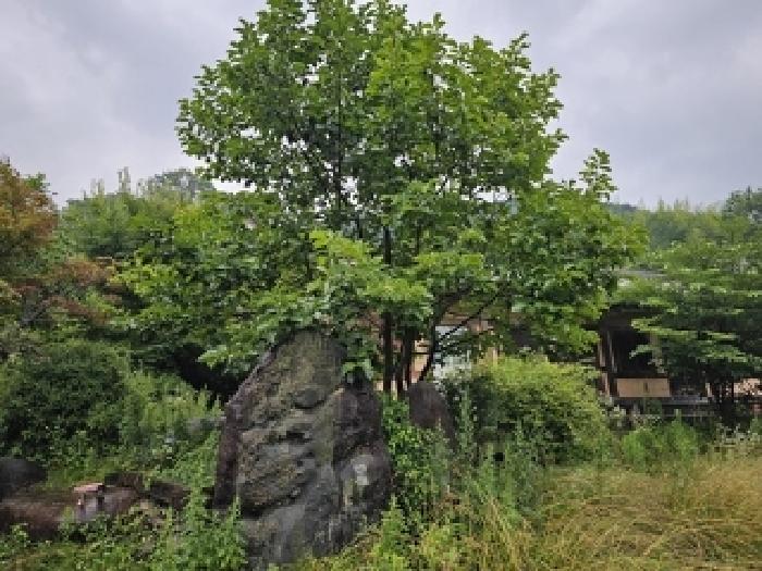 경남 하동군 청암면 교육연구시설 경매 물건 사진 6 · 2025타경755