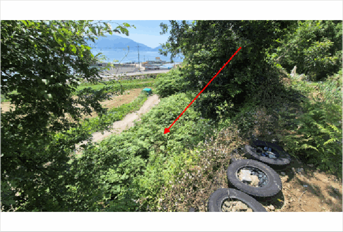 경남 남해군 창선면 전 경매 물건 사진 6 · 2025타경765
