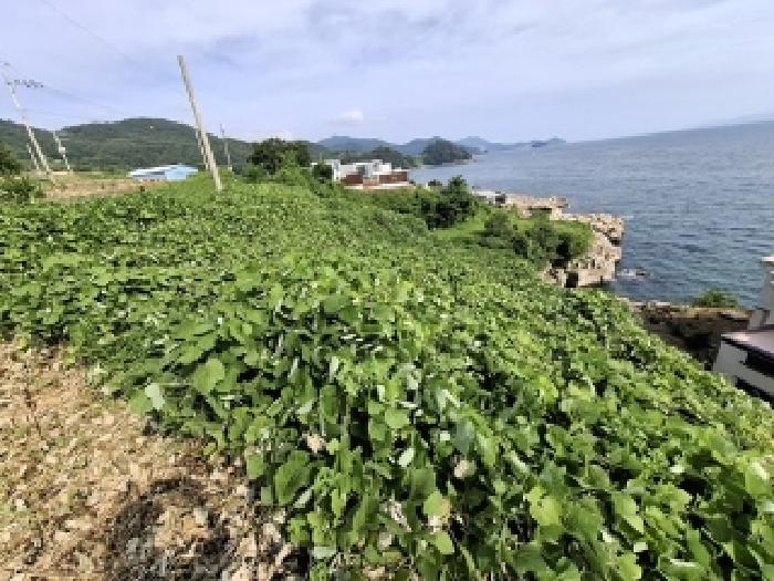 경남 남해군 서면 답 경매 물건 사진 4 · 2025타경784