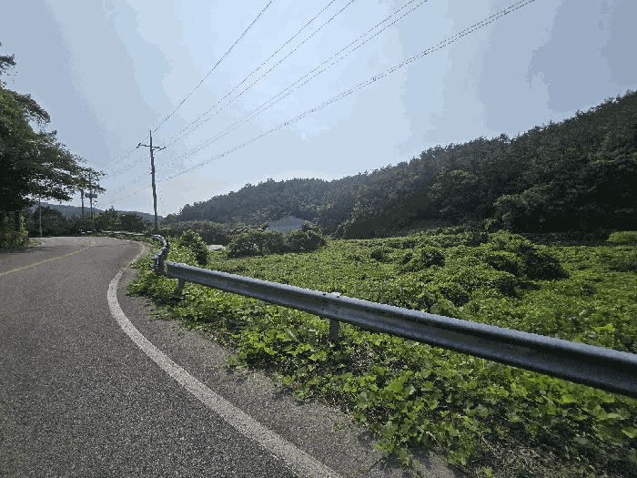 경남 남해군 삼동면 답 경매 물건 사진 5 · 2025타경792