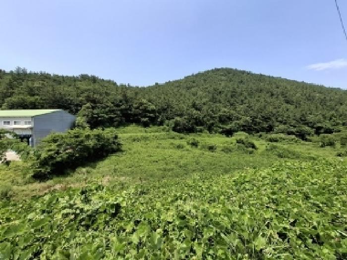 경남 남해군 삼동면 답 경매 물건 사진