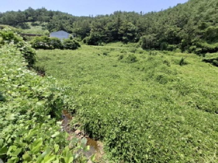 경남 남해군 삼동면 답 경매 물건 사진 2 · 2025타경792