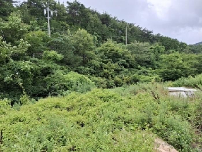 경남 남해군 삼동면 분뇨및쓰레기처리시설 경매 물건 사진 5 · 2025타경793