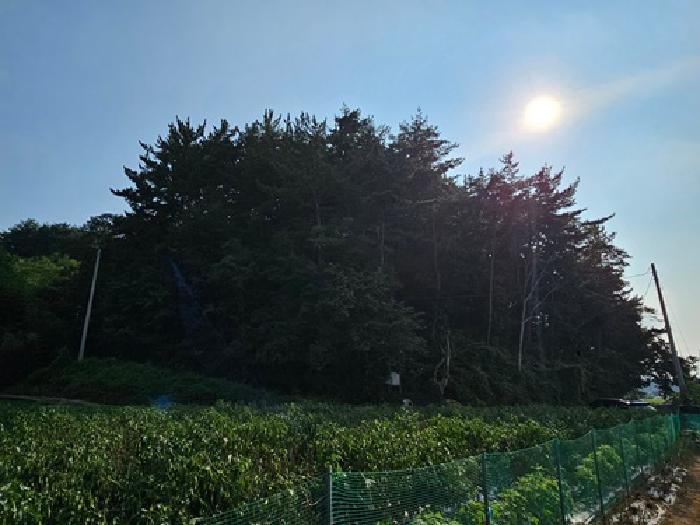 경남 진주시 이반성면 창고시설 경매 물건 사진 3 · 2025타경806