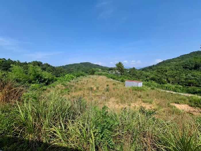 경남 사천시 서포면 임야 경매 물건 사진