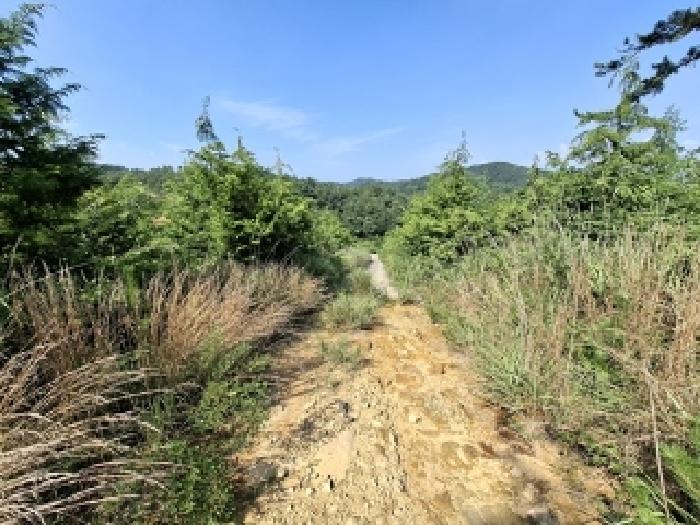 경남 사천시 서포면 임야 경매 물건 사진 6 · 2025타경810