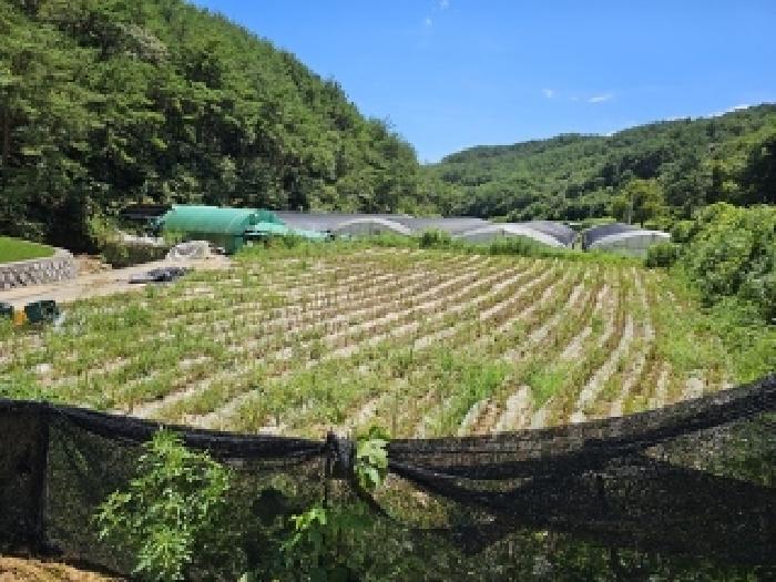 경남 진주시 수곡면 답 경매 물건 사진 3 · 2025타경821