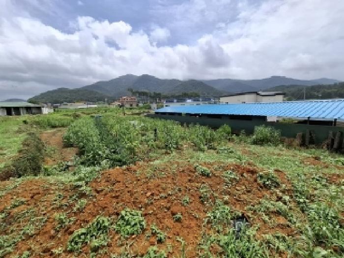경남 남해군 삼동면 답 경매 물건 사진 2 · 2025타경824