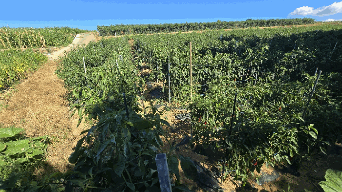 경상남도 남해군 설천면 금음리 603-2 전 경매 물건 사진