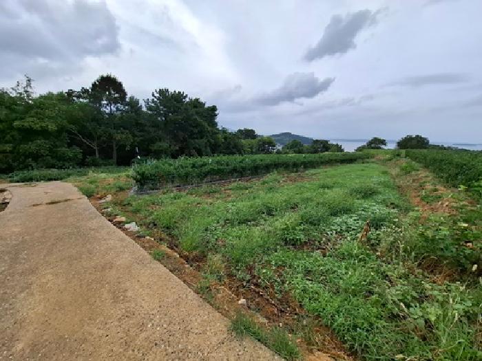경남 남해군 설천면 전 경매 물건 사진 3 · 2025타경825