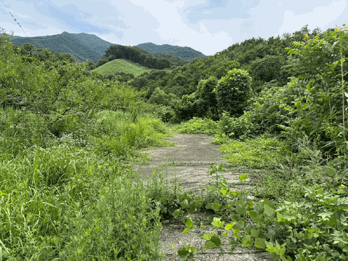 경남 하동군 화개면 답 경매 물건 사진 4 · 2025타경827