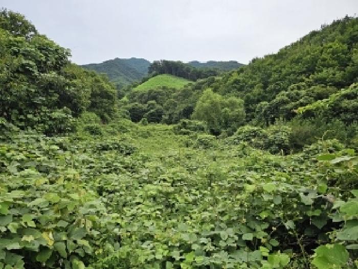 경남 하동군 화개면 답 경매 물건 사진
