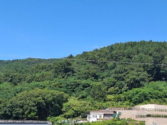 경남 사천시 실안동 전 경매 물건 사진