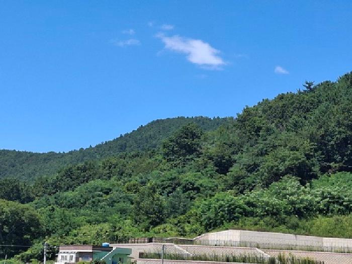 경남 사천시 실안동 전 경매 물건 사진 2 · 2025타경833