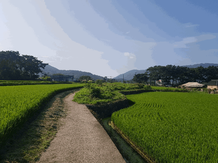 경남 사천시 신벽동 답 경매 물건 사진 5 · 2025타경851