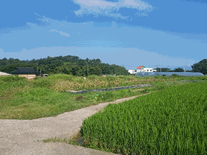 경남 사천시 신벽동 답 경매 물건 사진 6 · 2025타경851