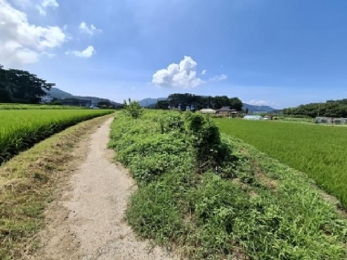 경남 사천시 신벽동 답 경매 물건 사진