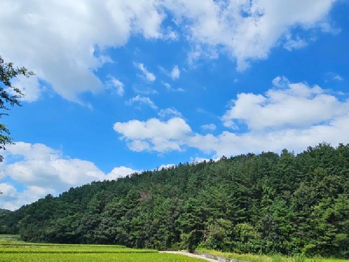 경남 산청군 신안면 임야 경매 물건 사진