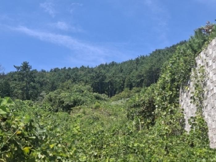 경남 남해군 창선면 임야 경매 물건 사진