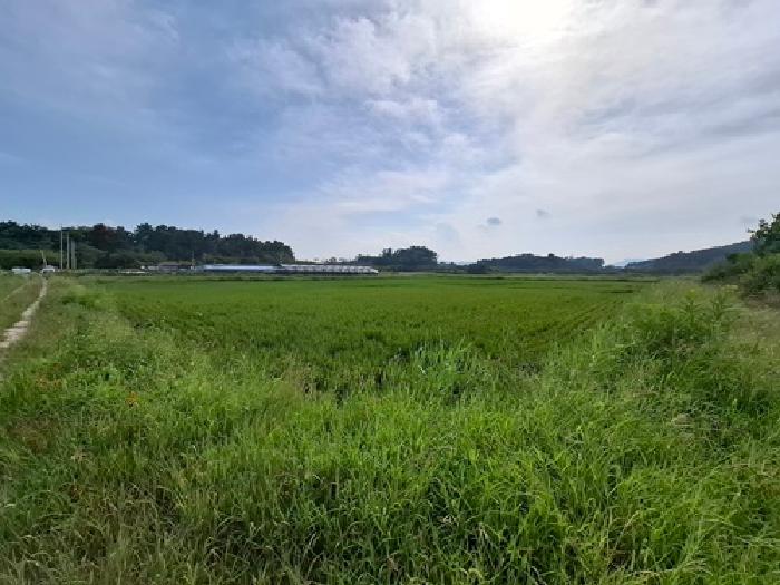 경남 사천시 서포면 답 경매 물건 사진 2 · 2025타경879