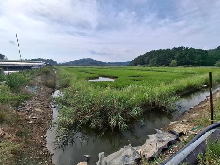 경남 사천시 서포면 답 경매 물건 사진 5 · 2025타경879