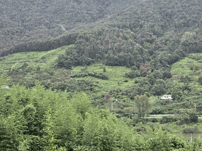 경상남도 하동군 악양면 평사리 산82-1 임야 경매 물건 사진