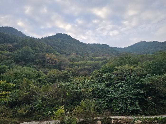 경남 하동군 화개면 전 경매 물건 사진 2 · 2025타경890