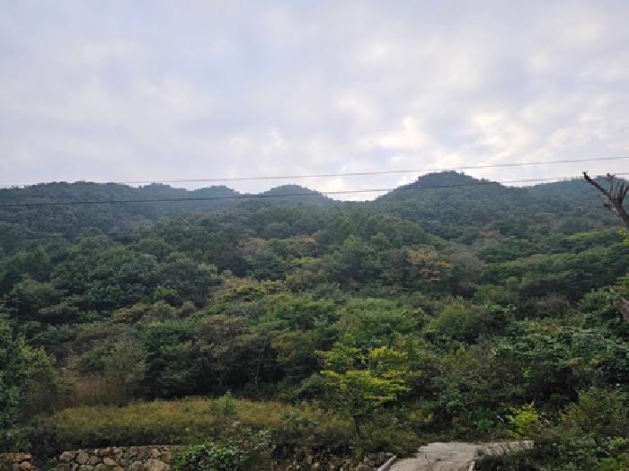 경남 하동군 화개면 전 경매 물건 사진 3 · 2025타경890
