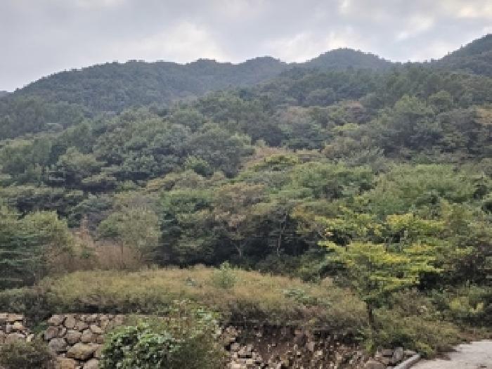 경남 하동군 화개면 전 경매 물건 사진
