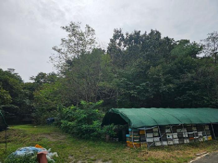 경남 진주시 대평면 임야 경매 물건 사진 3 · 2025타경894