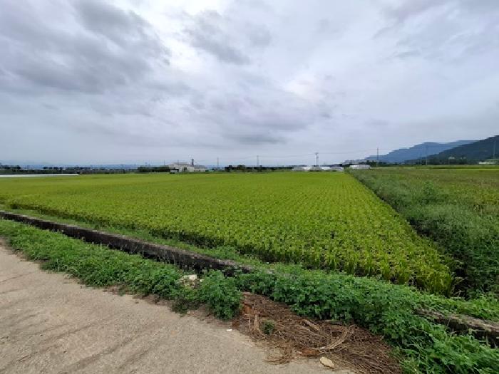 경남 사천시 용현면 답 경매 물건 사진