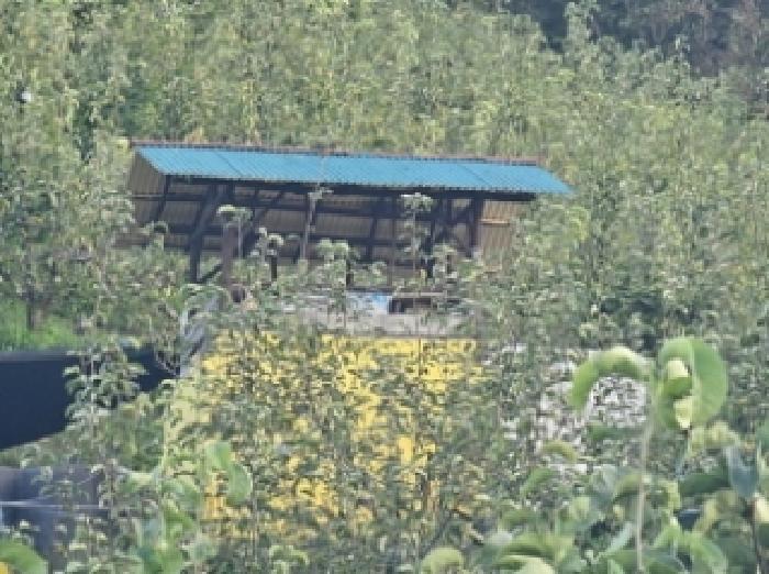 경남 진주시 문산읍 과수원 경매 물건 사진 5 · 2025타경904