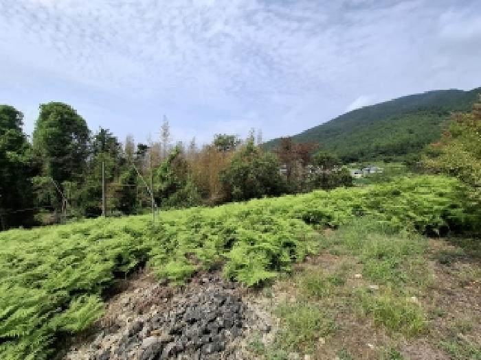 경남 남해군 창선면 임야 경매 물건 사진