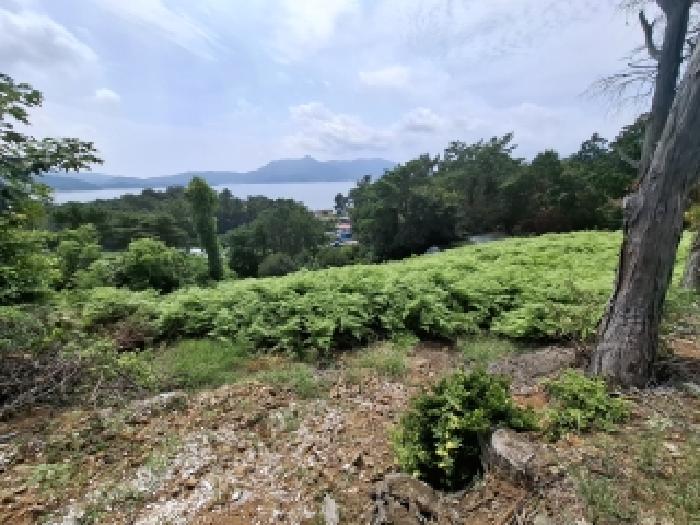 경남 남해군 창선면 임야 경매 물건 사진 5 · 2025타경906