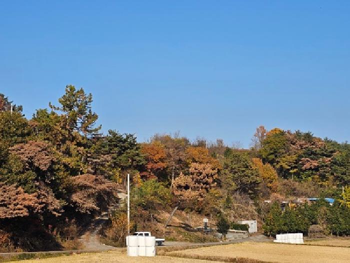 경남 하동군 진교면 임야 경매 물건 사진