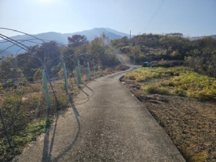 경남 하동군 진교면 임야 경매 물건 사진 2 · 2025타경911