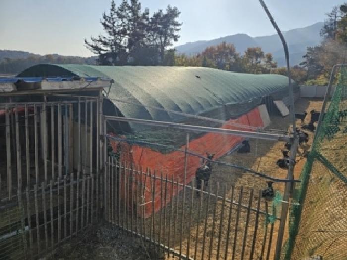 경남 하동군 진교면 임야 경매 물건 사진 5 · 2025타경911