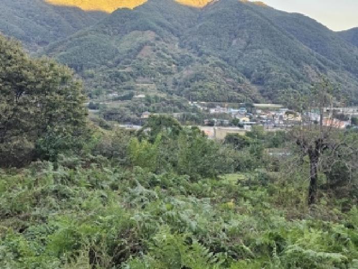 경남 산청군 삼장면 전 경매 물건 사진