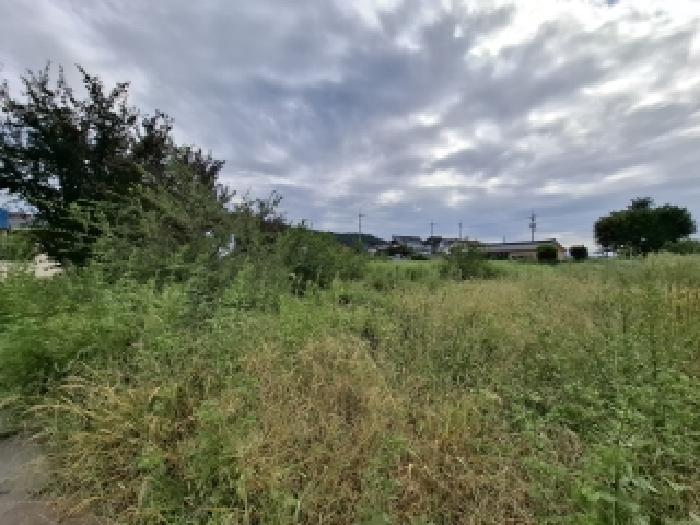 경남 남해군 삼동면 답 경매 물건 사진 2 · 2025타경917