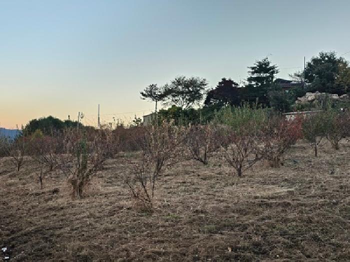 경남 하동군 악양면 공장/지식산업센터 경매 물건 사진