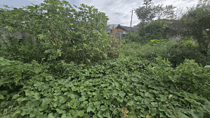 경남 진주시 문산읍 중기 경매 물건 사진 5 · 2025타경934