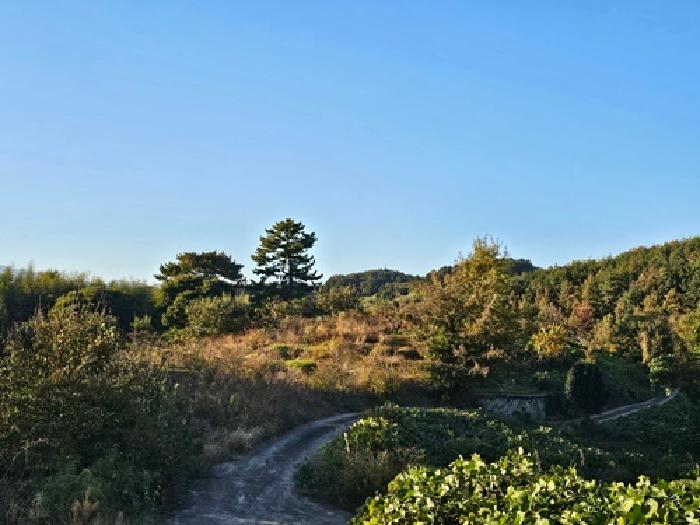 경남 하동군 하동읍 대지,임야,전답 경매 물건 사진 2 · 2025타경943