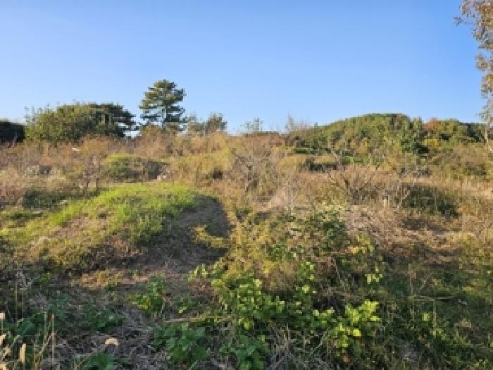 경남 하동군 하동읍 대지,임야,전답 경매 물건 사진 5 · 2025타경943